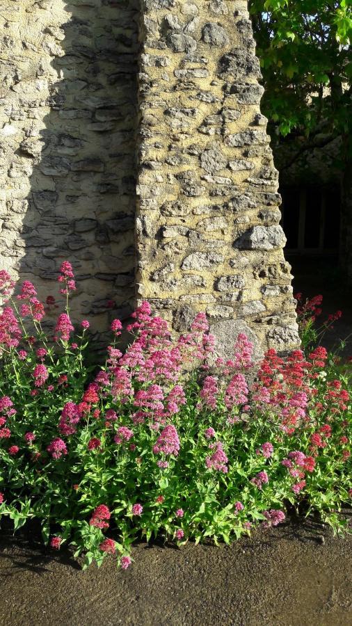 Gite Aux Tournesols Malaucène Exteriér fotografie